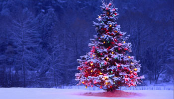 NAVIDAD