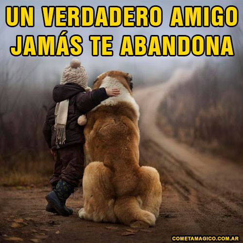 FRASE PARA COMPARTIR