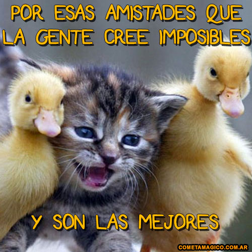 FRASE PARA COMPARTIR