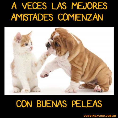 FRASE PARA COMPARTIR