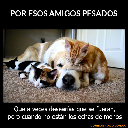 FRASES PARA EL DIA DEL AMIGO