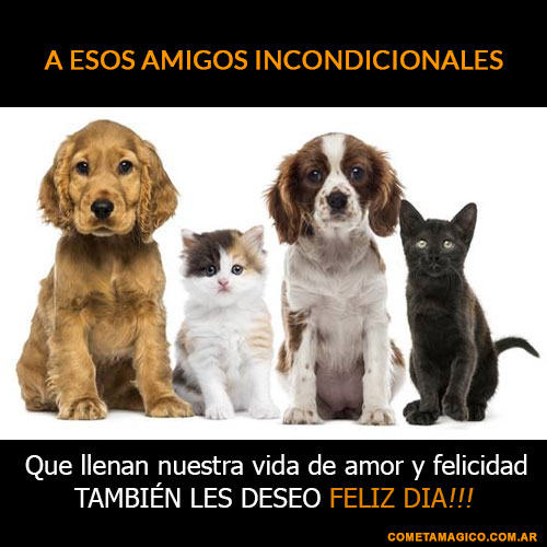 FRASES PARA EL DIA DEL AMIGO