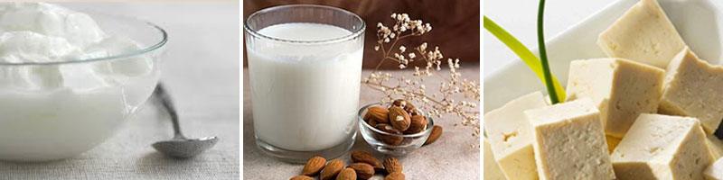 leches y quesos vegetales