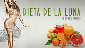 En que consiste la dieta