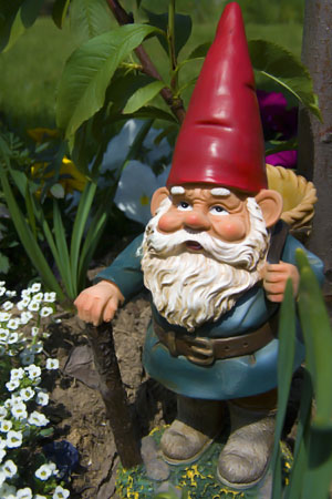 Gnomos