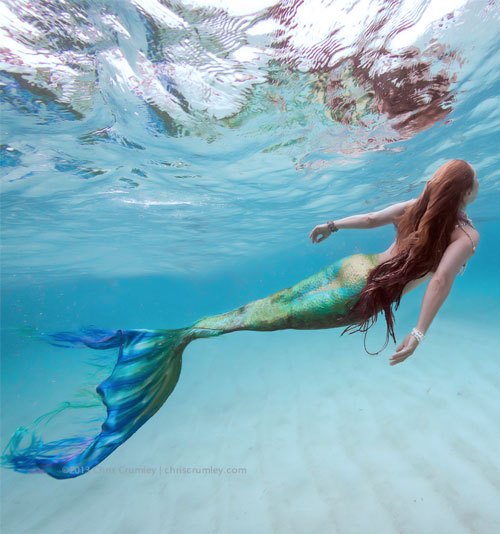 imagenes de sirenas reales